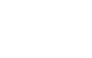 Fast Lane Drive